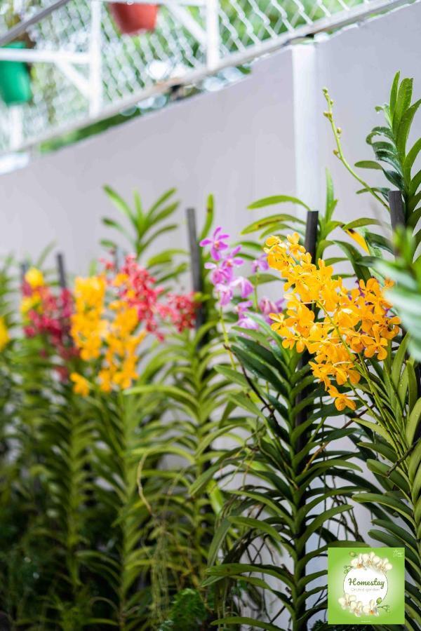 Can Tho Orchid Garden Homestay Esterno foto