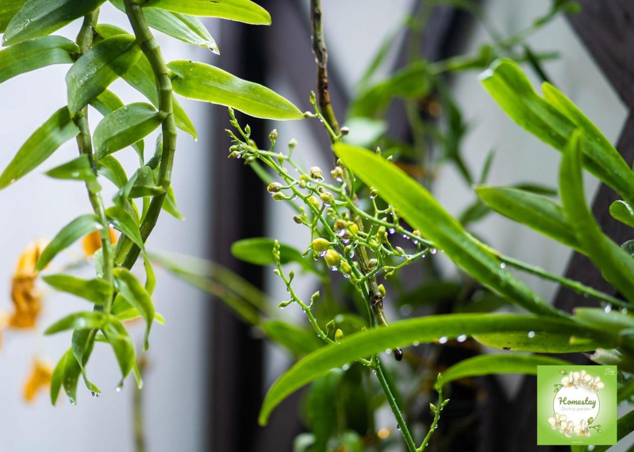Can Tho Orchid Garden Homestay Esterno foto
